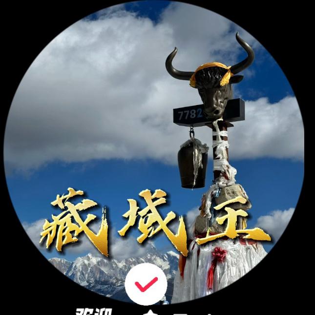 西藏《藏域王二手物资回收公司》