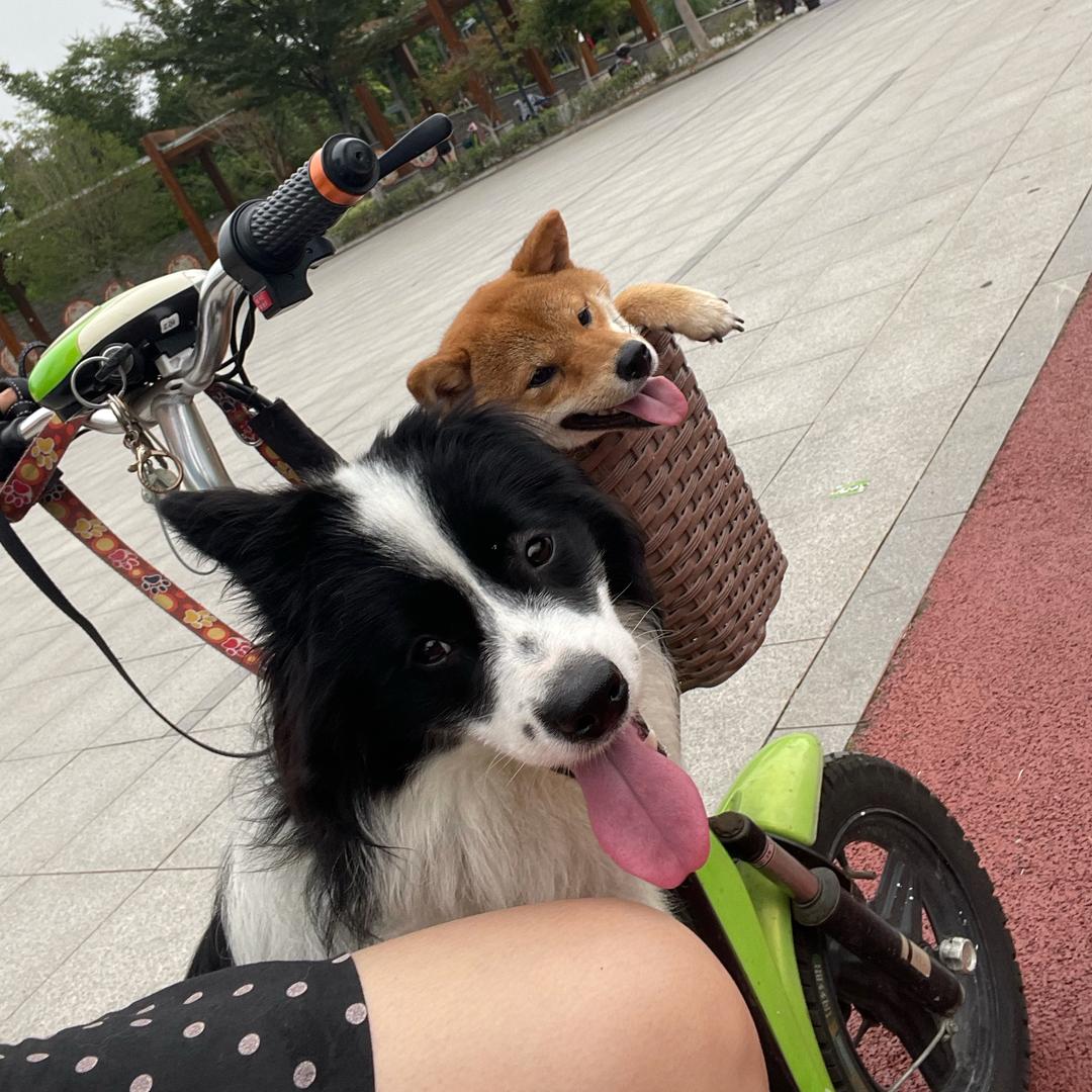 南大九食堂美食推荐