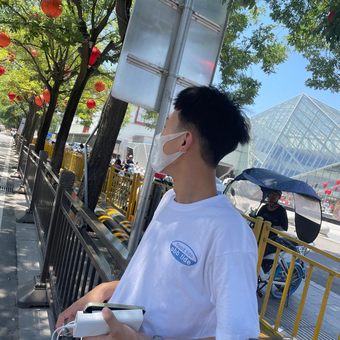 安毅书法