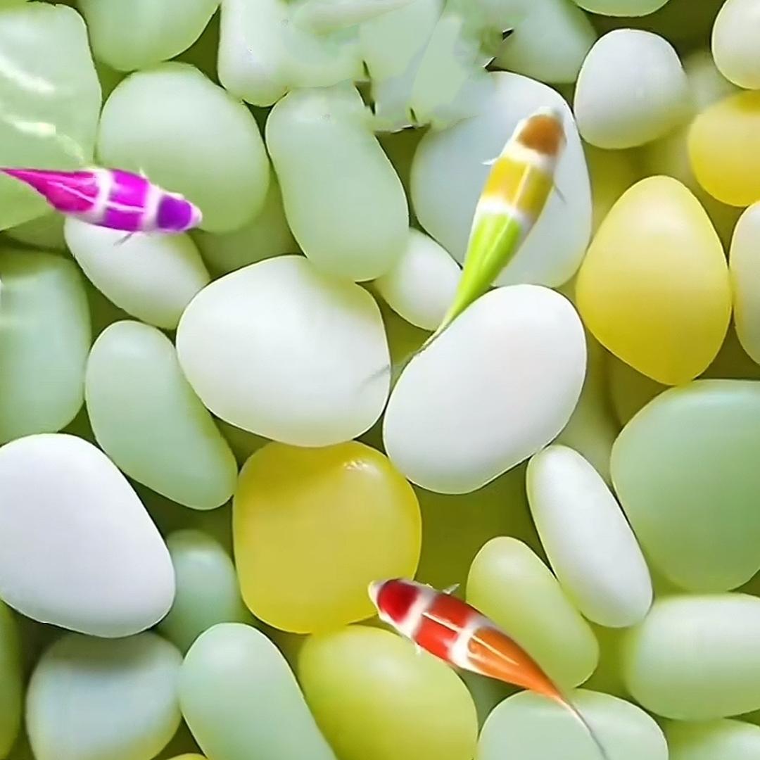 微笑向暖🌈