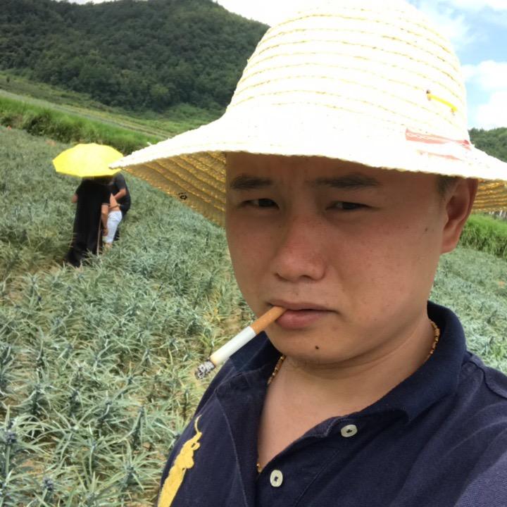 百合植保-葛老师