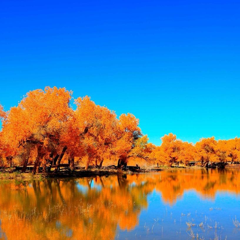 泡面批发源头厂家