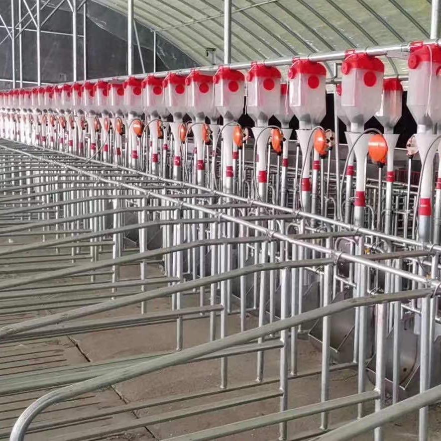 德州双禾料塔自动饲喂料线