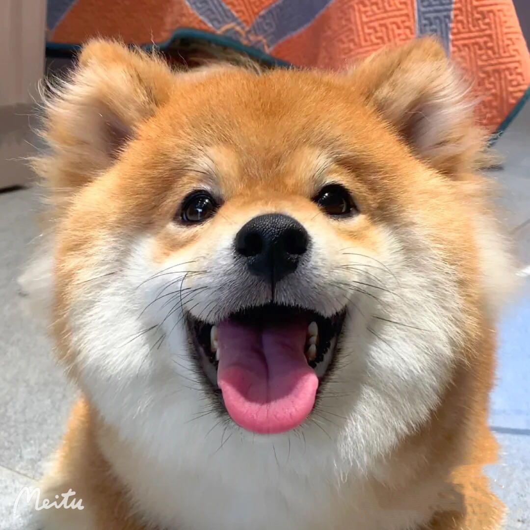 吐泡泡的妖怪