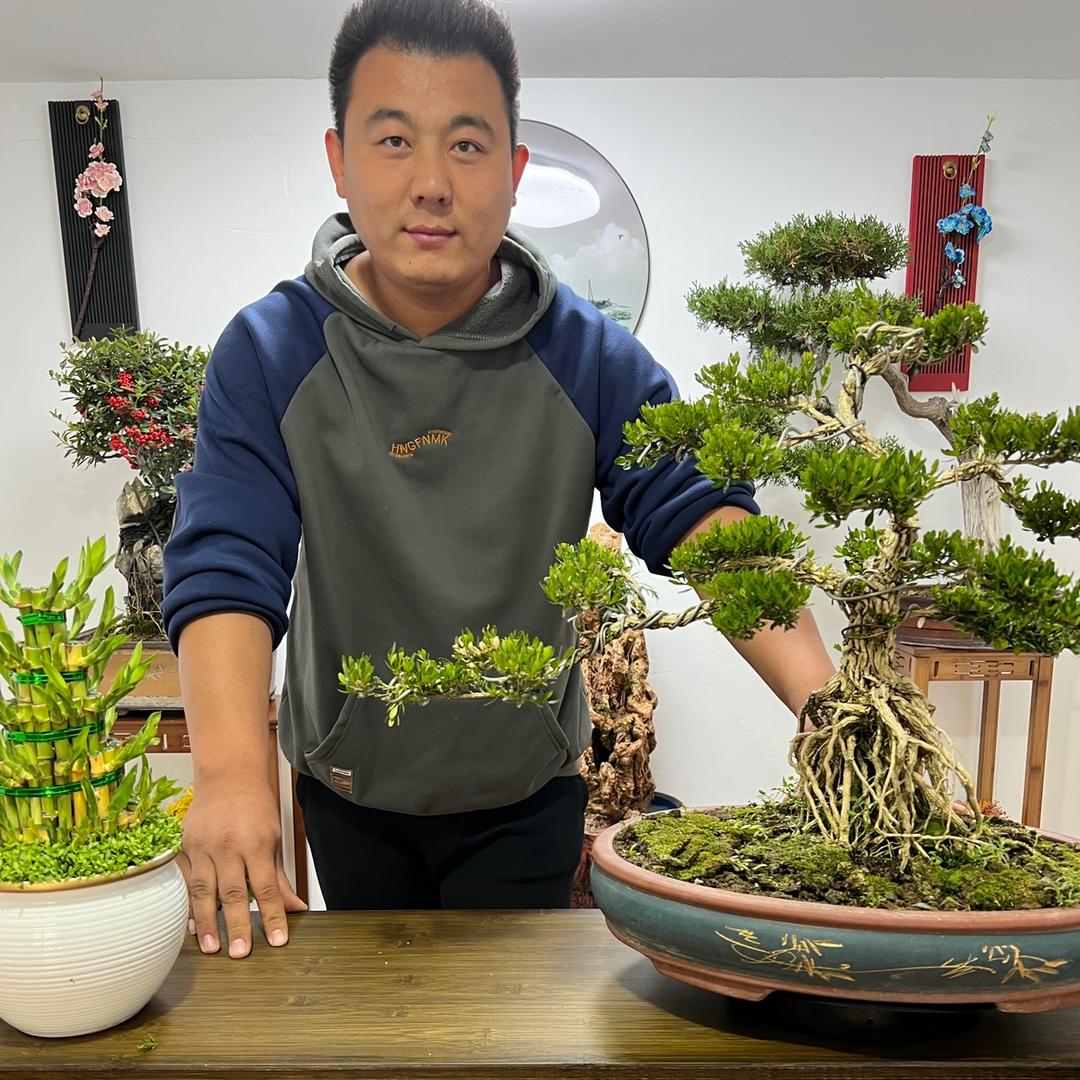 齐鲁小赵