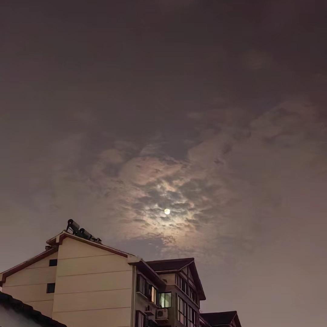 小熊饼干