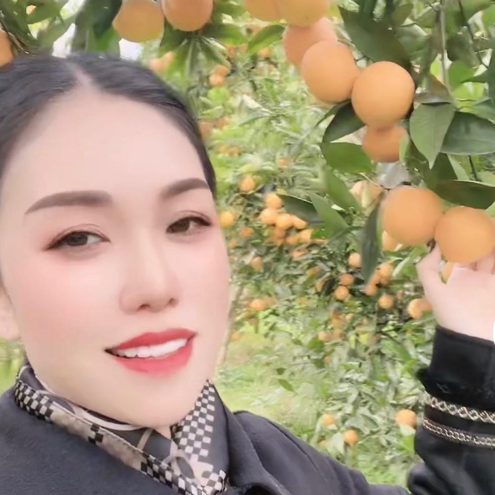卖橘子的小姐姐《汉丰之珠商贸公司》