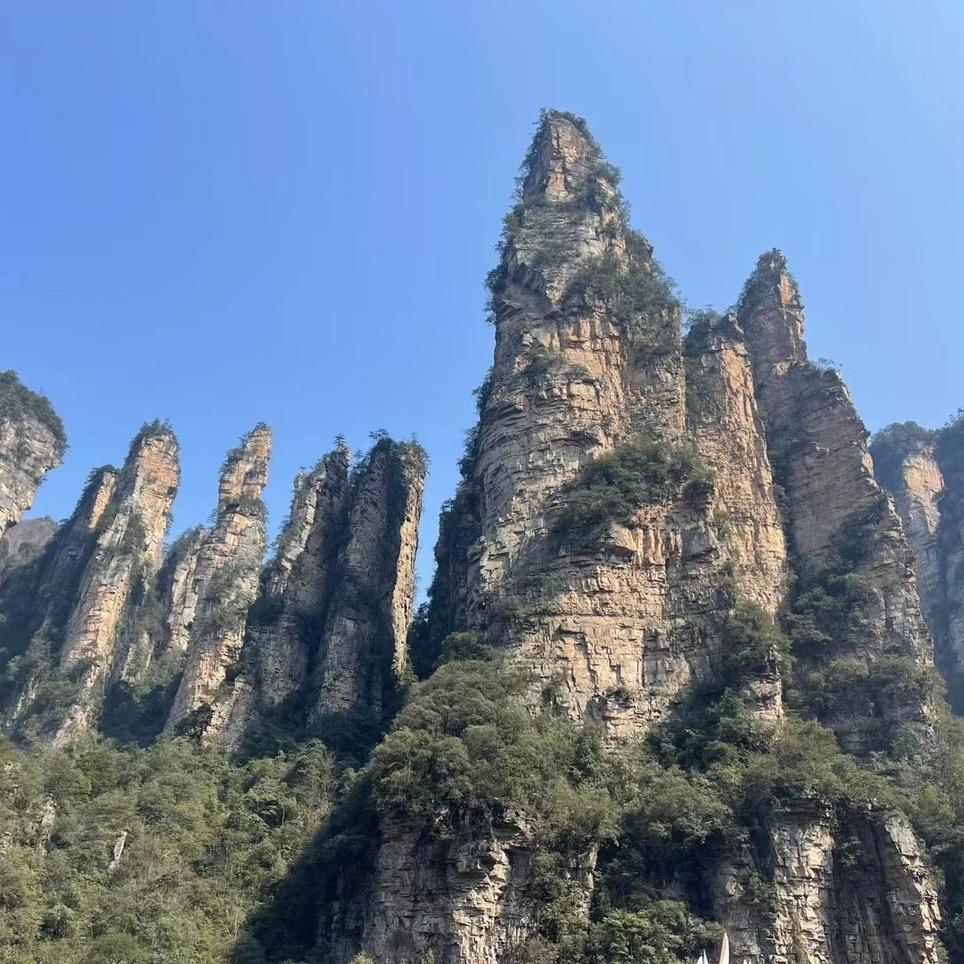 小石头哦耶s