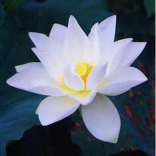 一行阁
