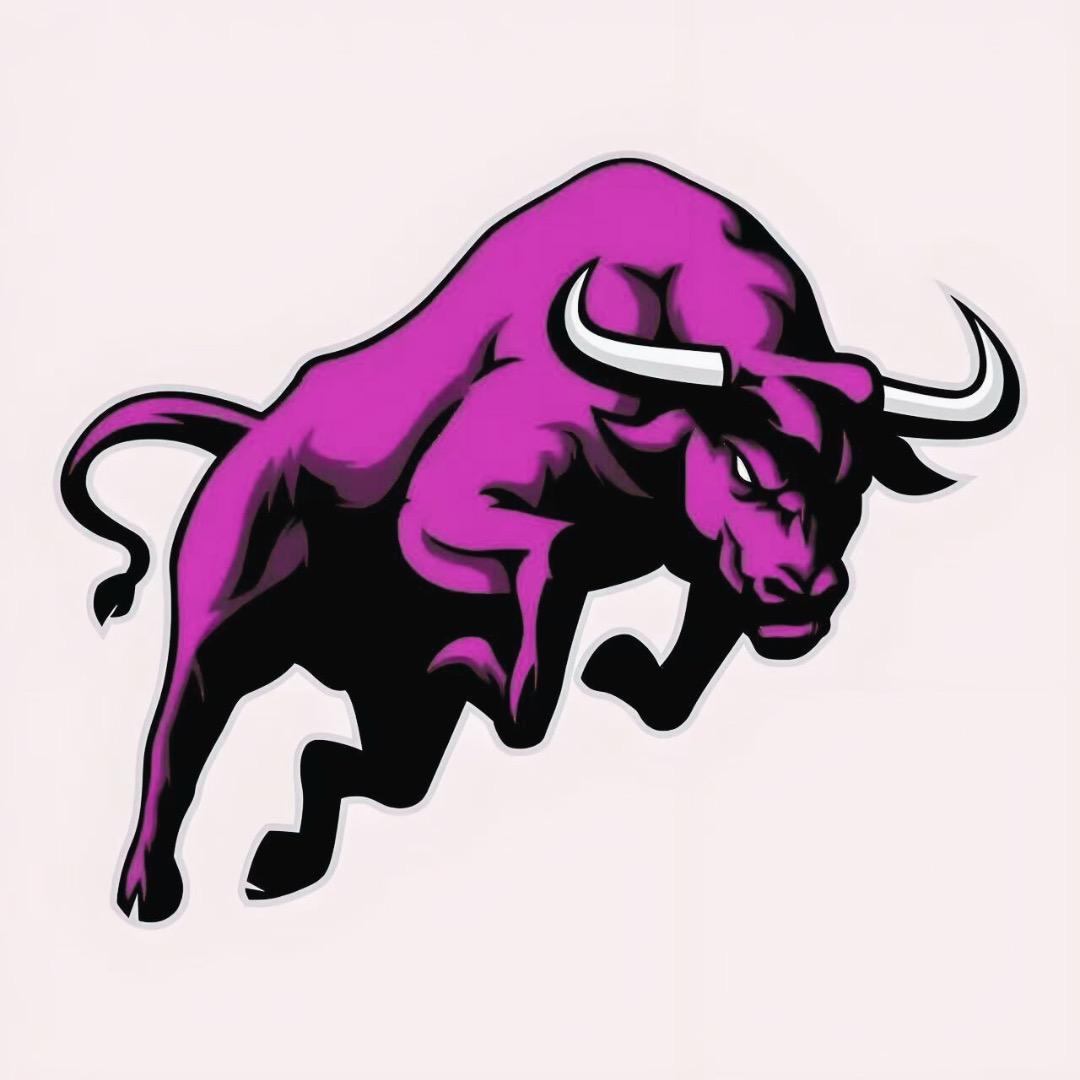 取个名字太麻烦