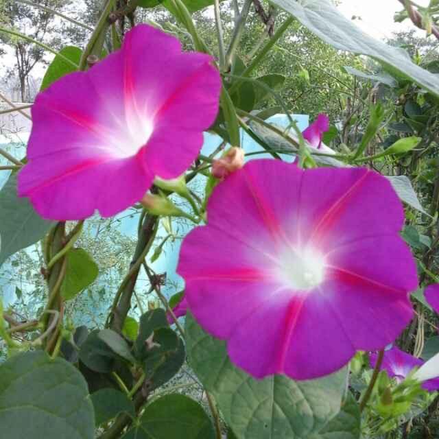 2014👶🏻👶🏻2022