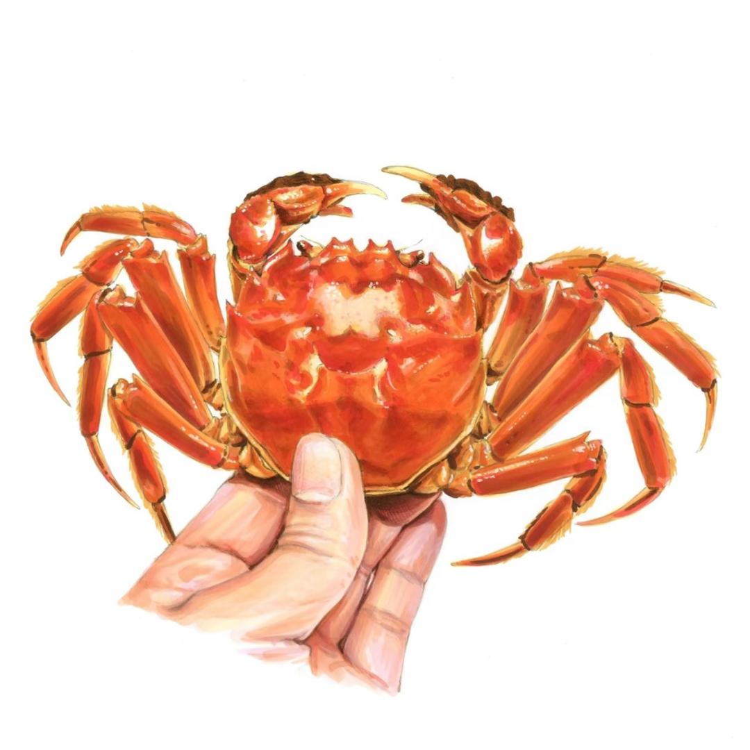盘锦老于河蟹