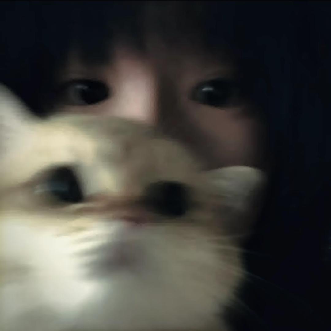 .十七.