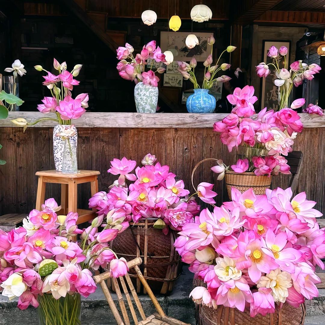 花开烂漫