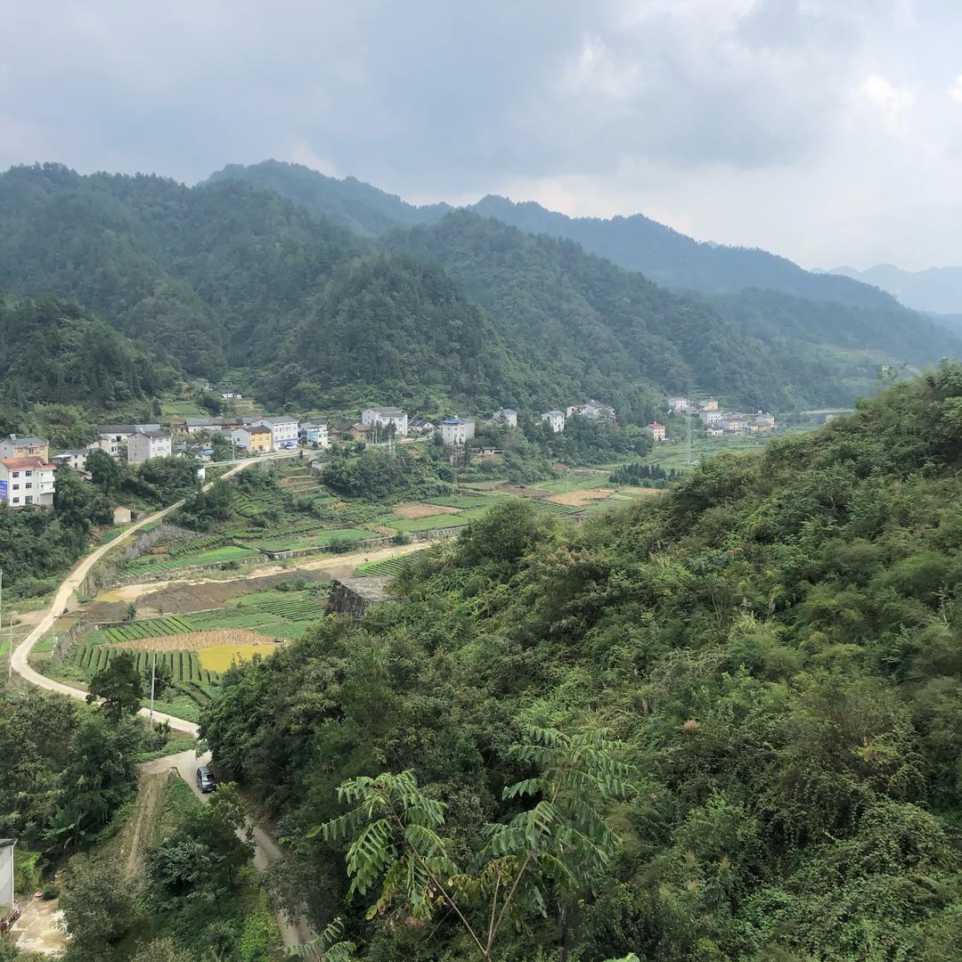 小杜慢慢飞