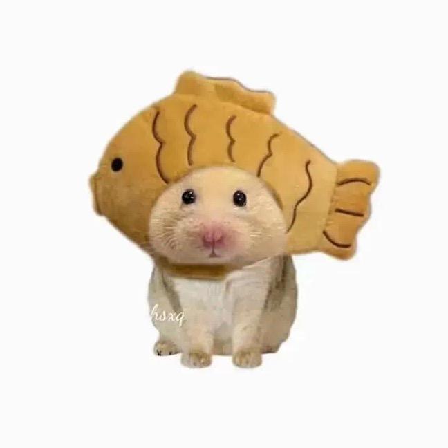 我要吃泡面