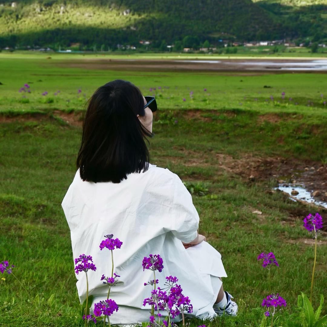 林花钱💰