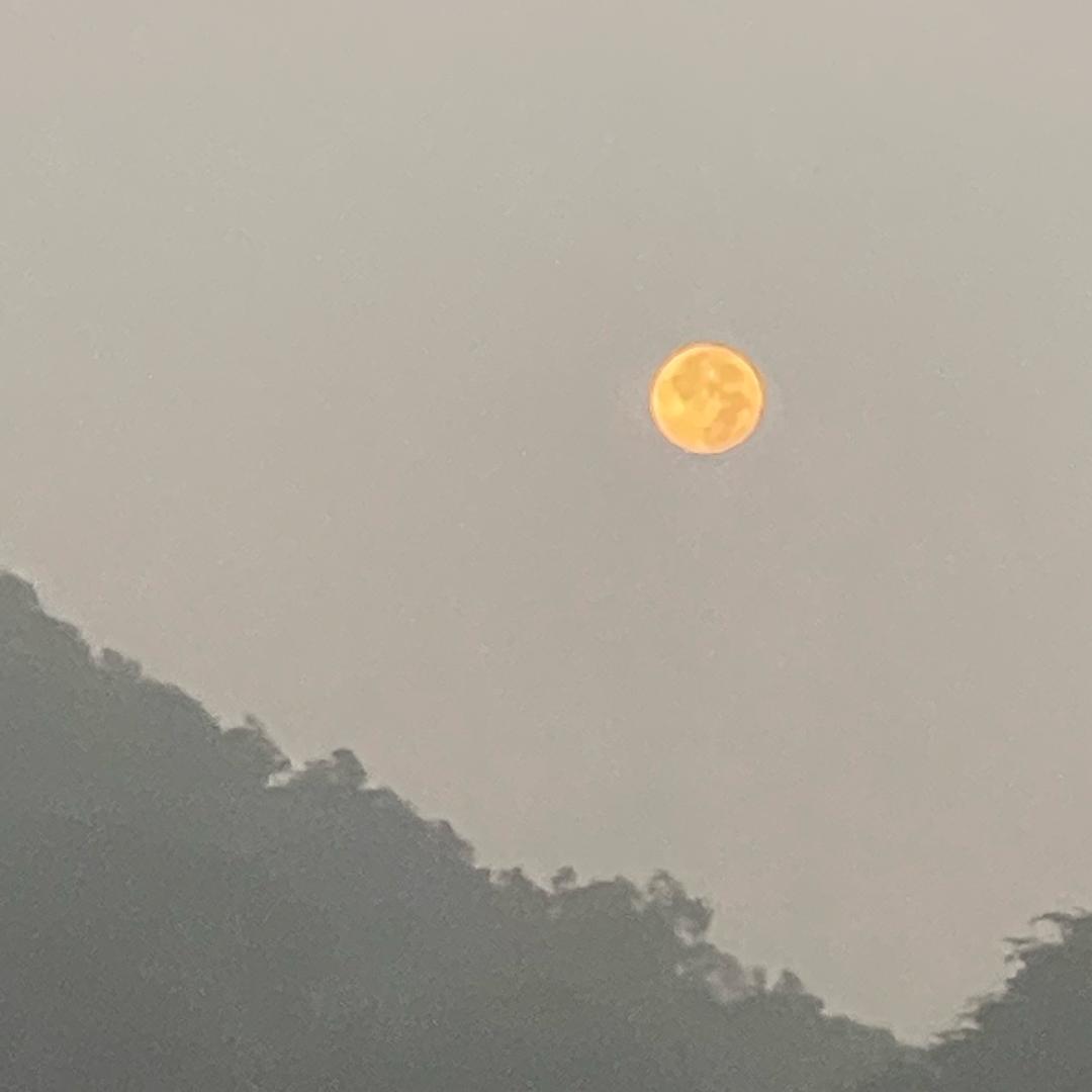 💞₊⁺★ 初见💗 ☾