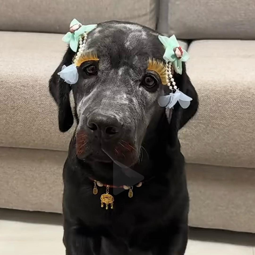 大宗国际库存贸易批发