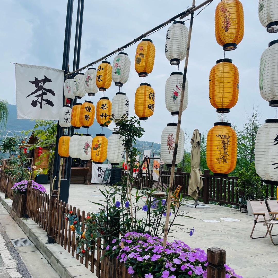魅力人参果