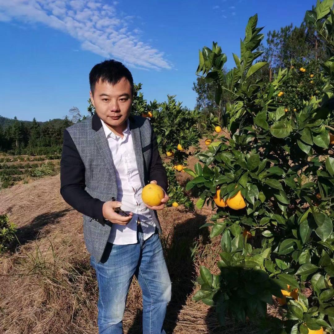 云南红薯推荐官
