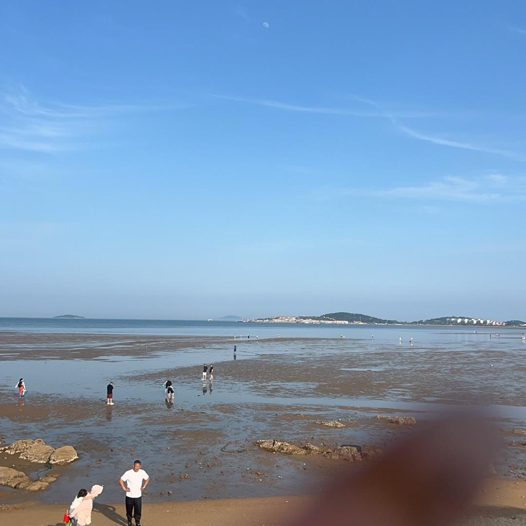发财8