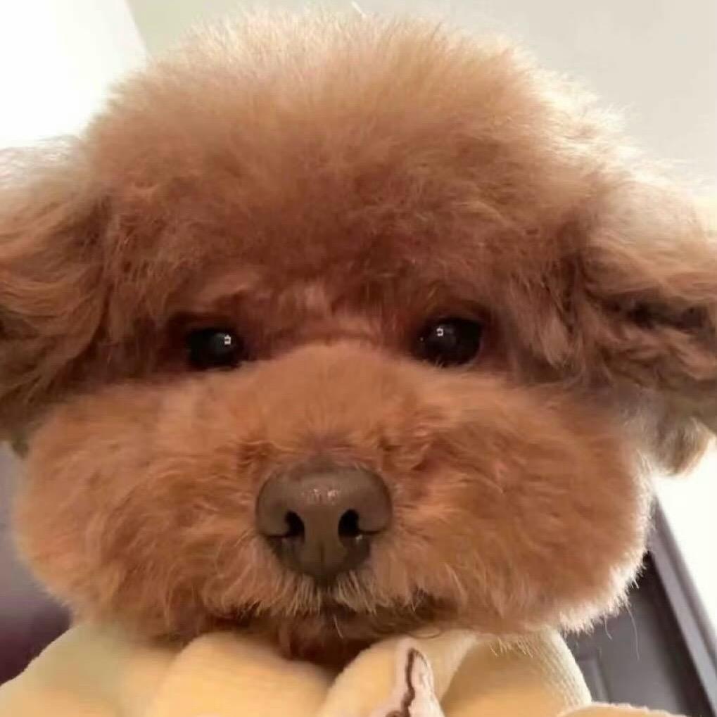 周五