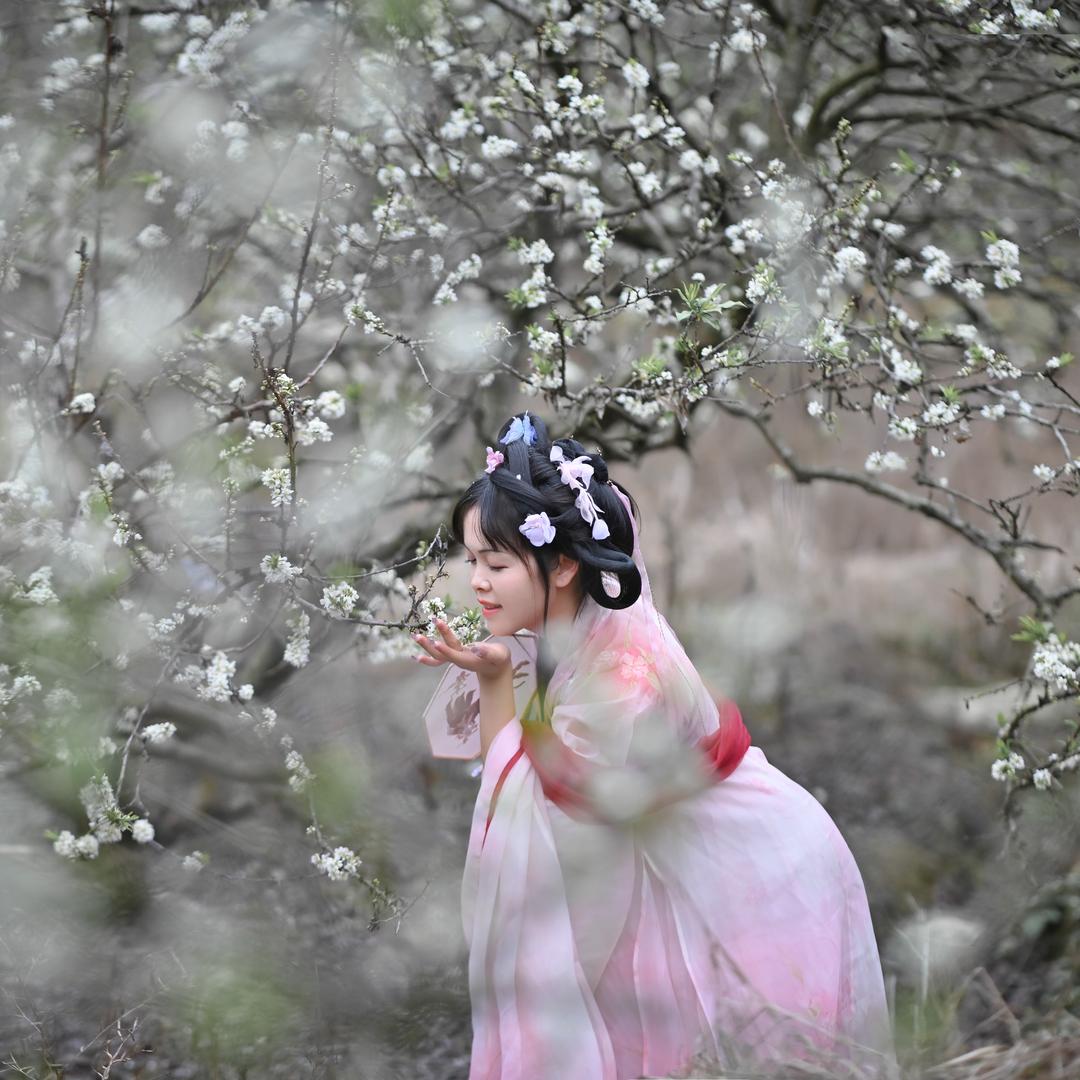 桃夭〃