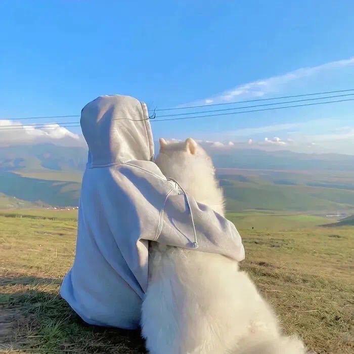 离奇的白日梦