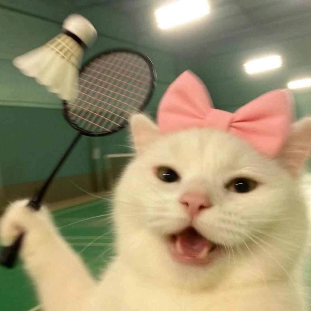 -生生不息-