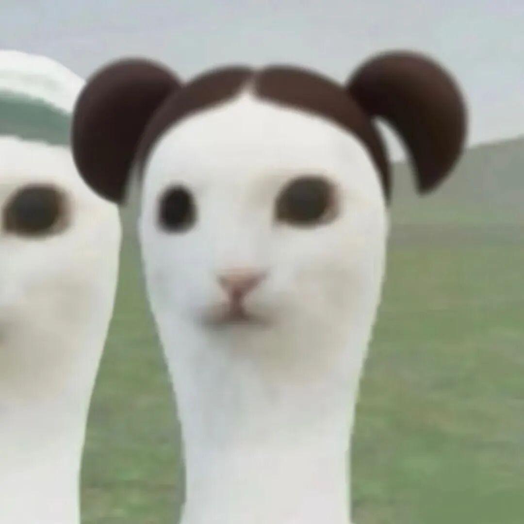 姜了个姜