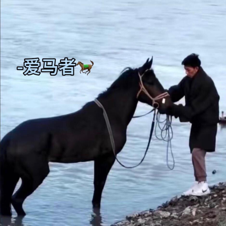 _爱马者🐎
