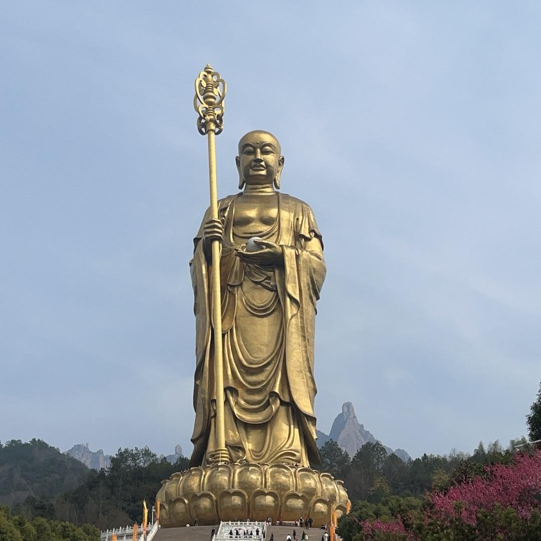 露露