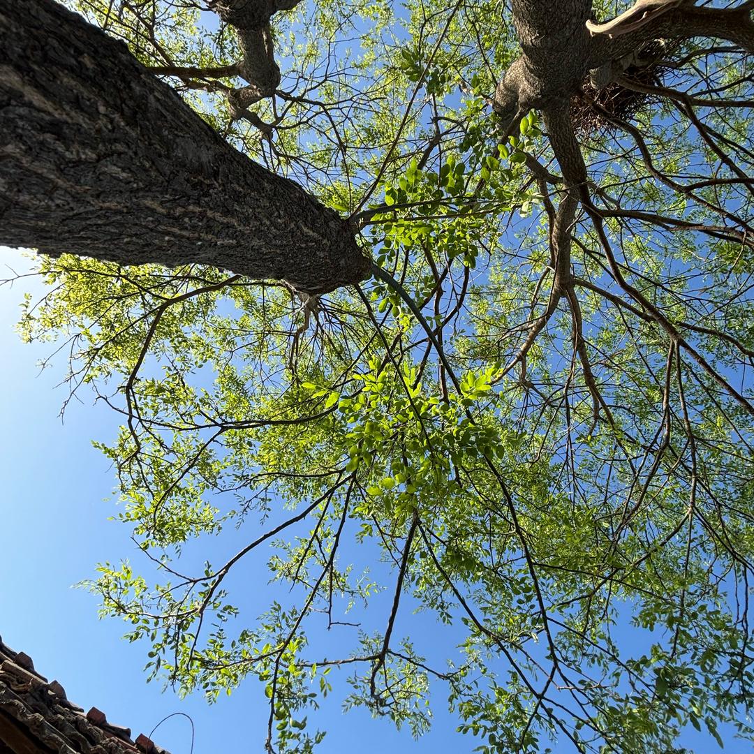 美食守护者⚒️🥒🥕🌽🥦