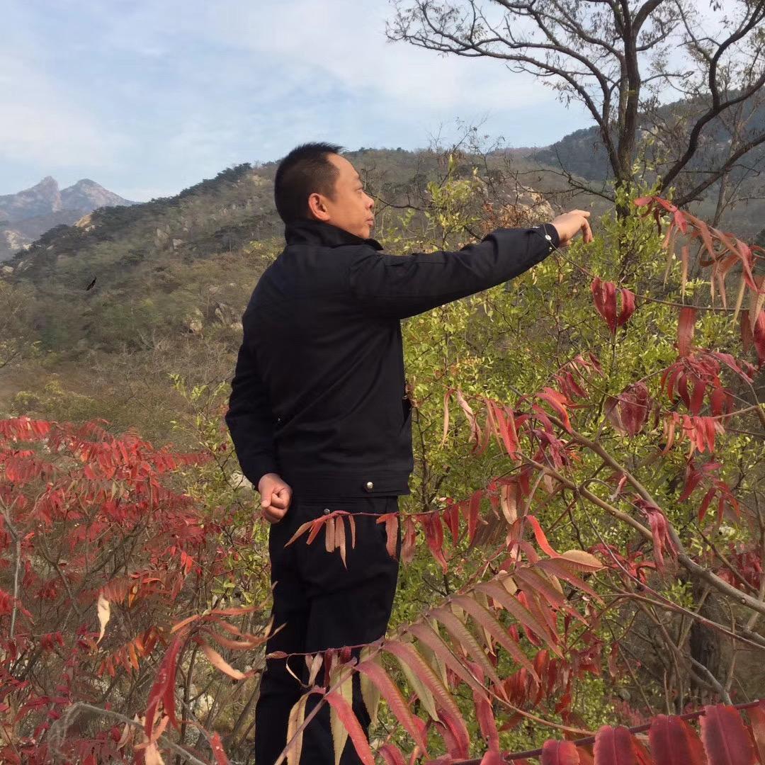 泰山三哥