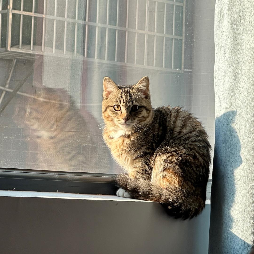 超猴酒吧营销郭少