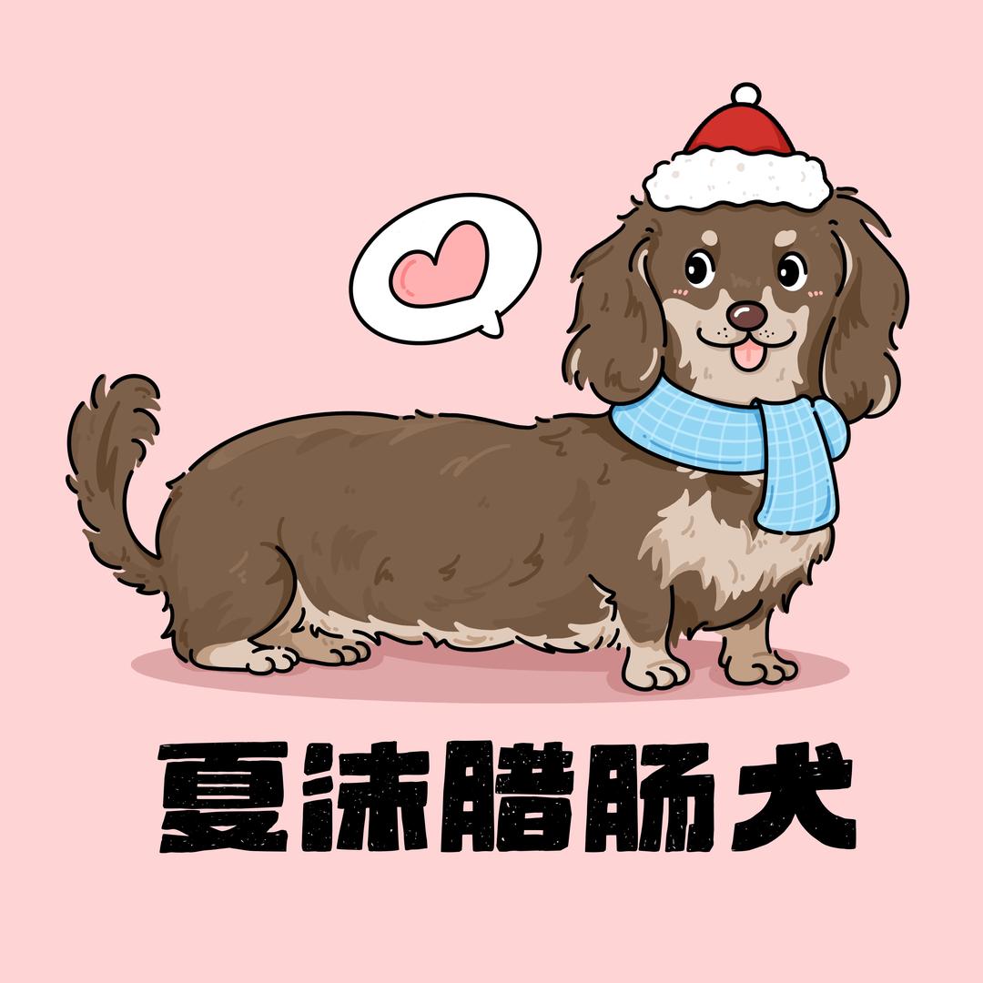 夏沫腊肠犬