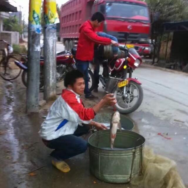 带头大哥