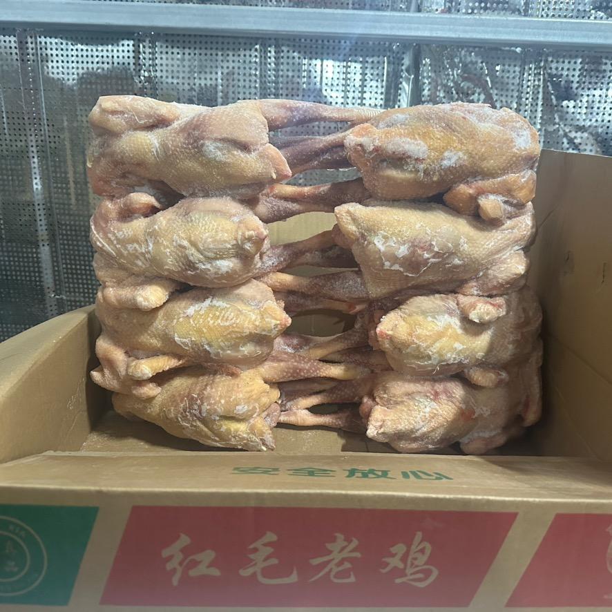 郑州万邦老母鸡～