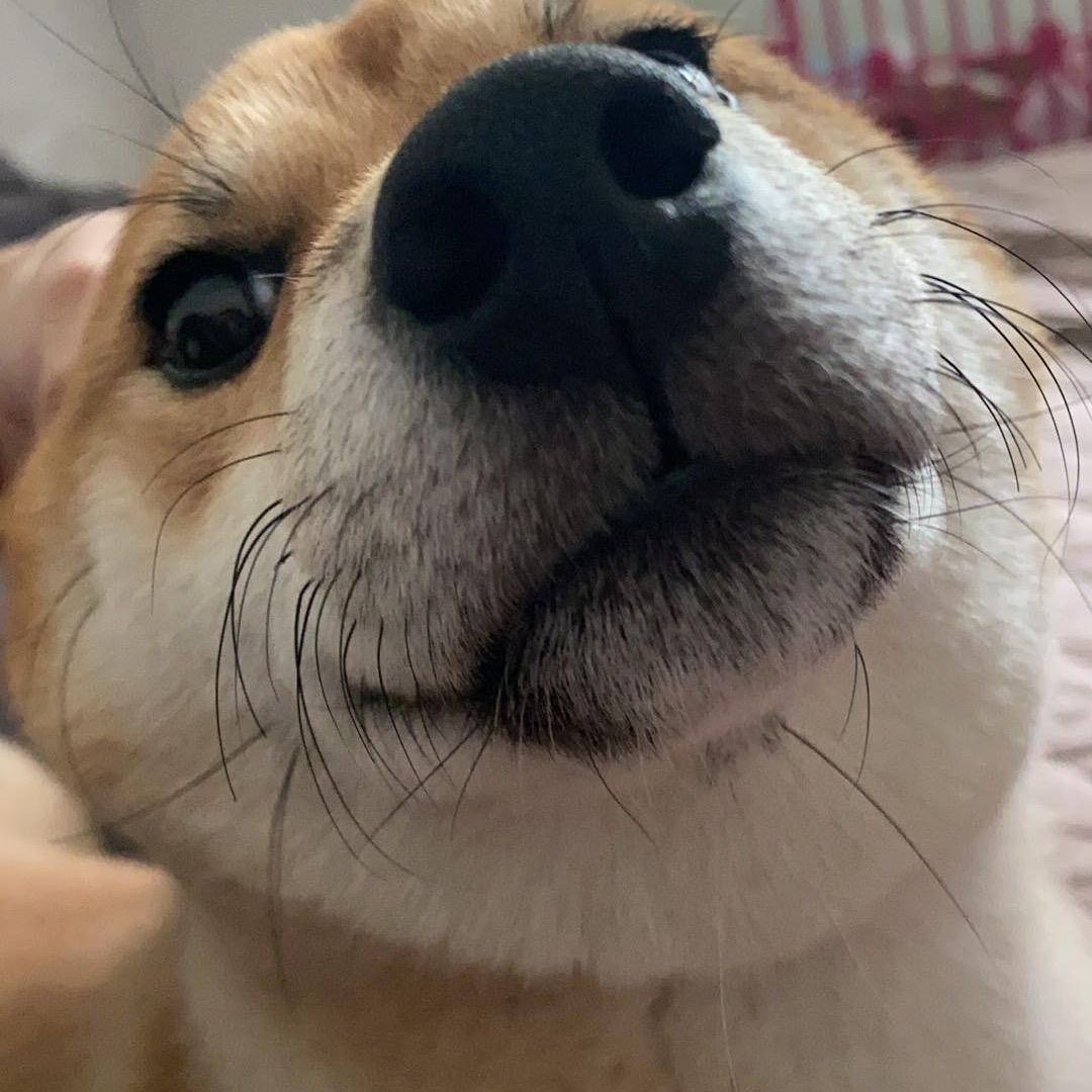 我没什么好名字폭식 그만해