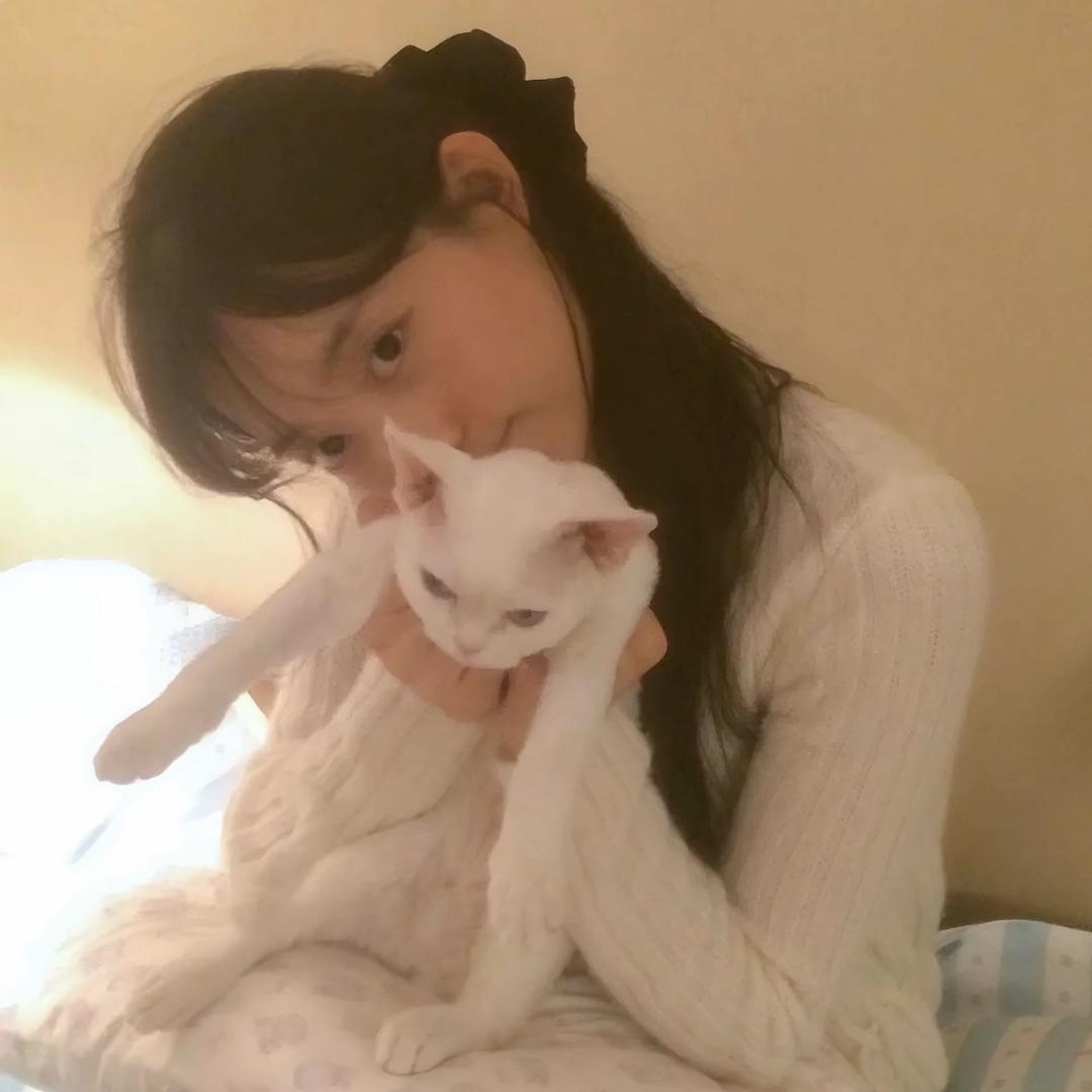 嘻嘻嘻嘻
