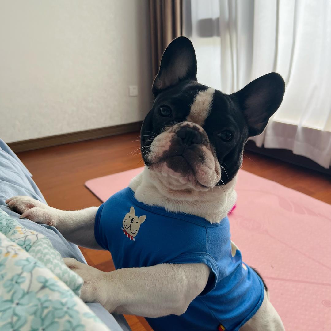 敏兔兔🐰