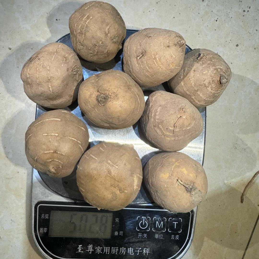 蠡县丽耕特色农产品严选