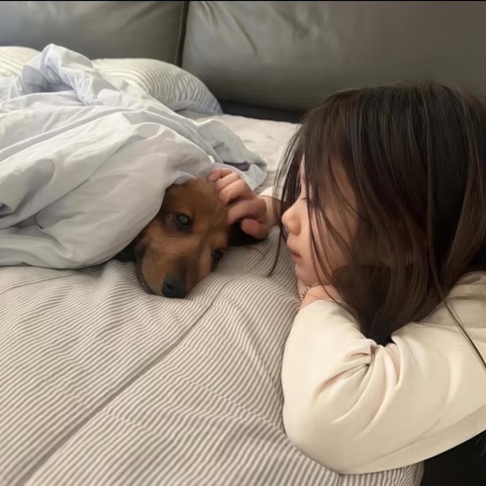 睏.
