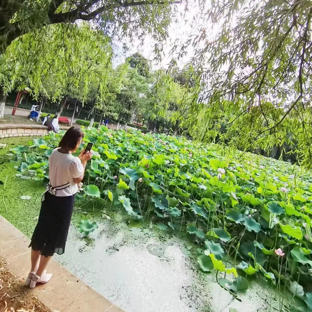 无声静候