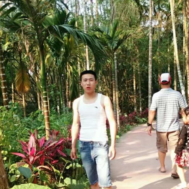 向往