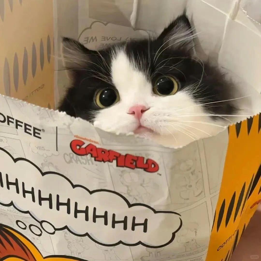 叫我呼呼