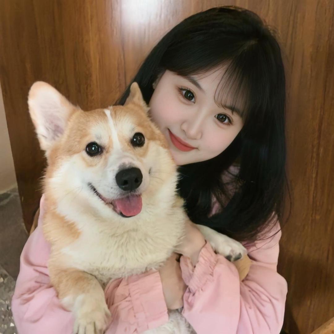 海上森林一只猫