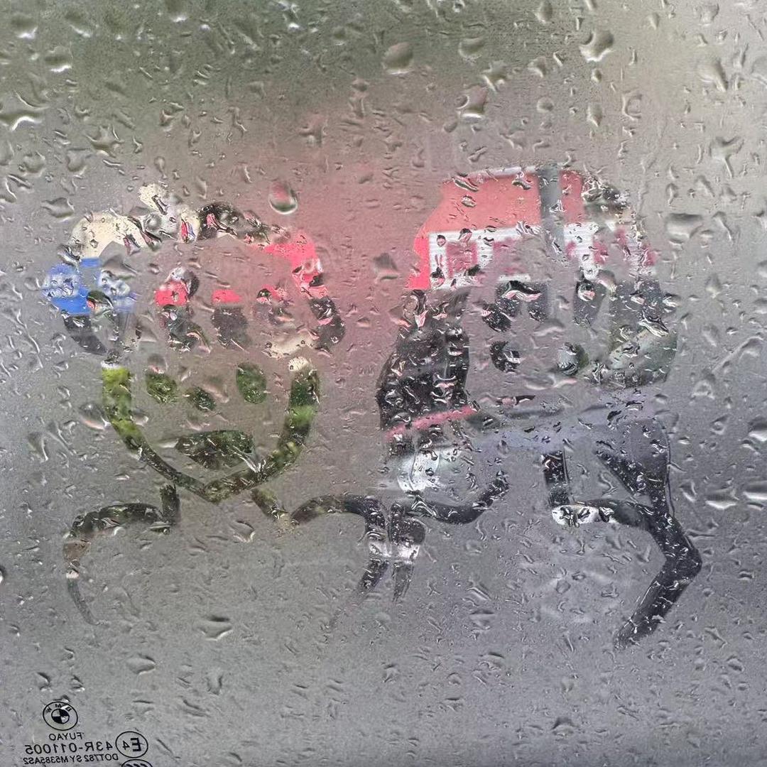 佤邦菜（三角洲跑刀）