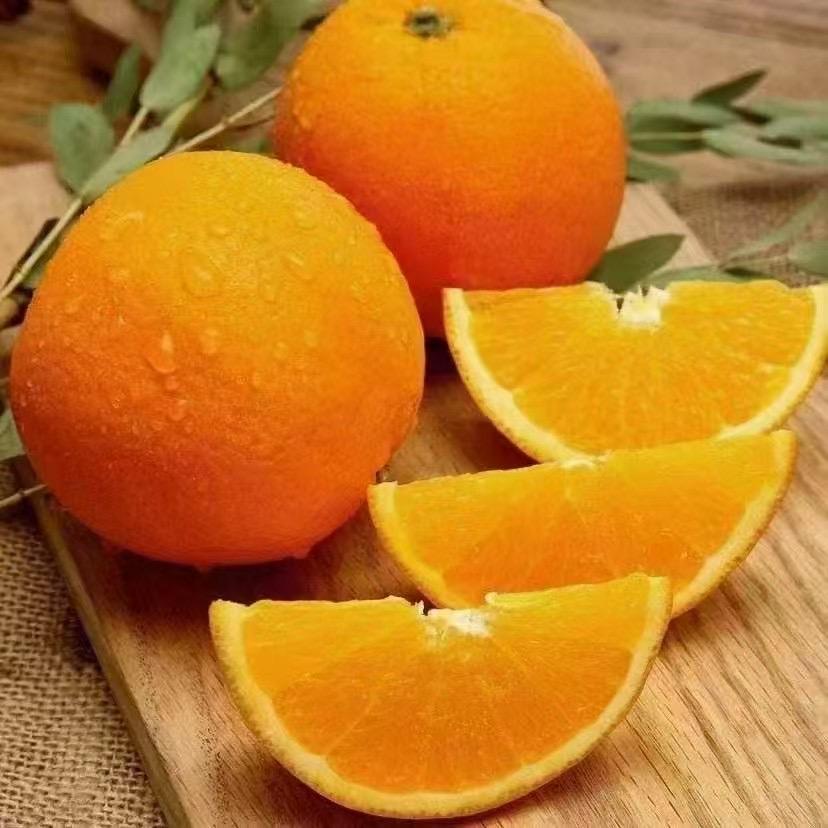 小橙哥榨汁橙果园直供